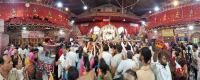 Darshan of Banke Biharilalji and Radhavallabhaji (18 March 2025)